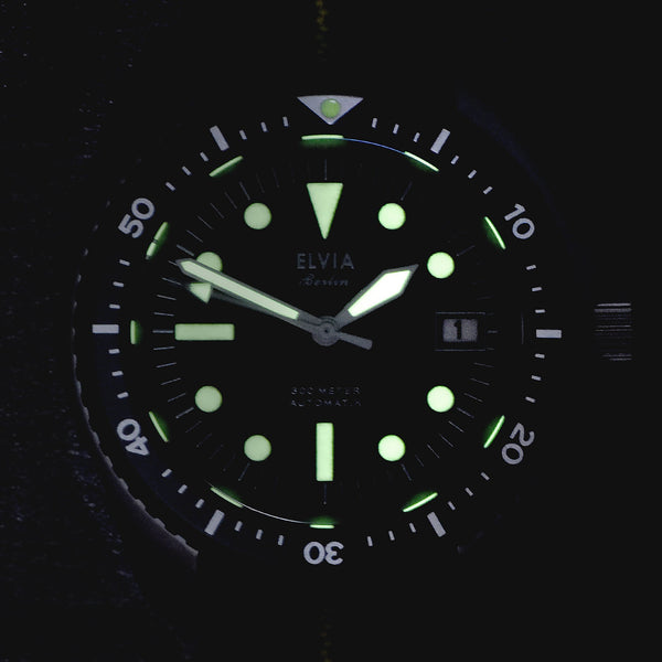 ELVIA Day/Date Military Divers Watch with Sapphire Crystal and Quartz Movement